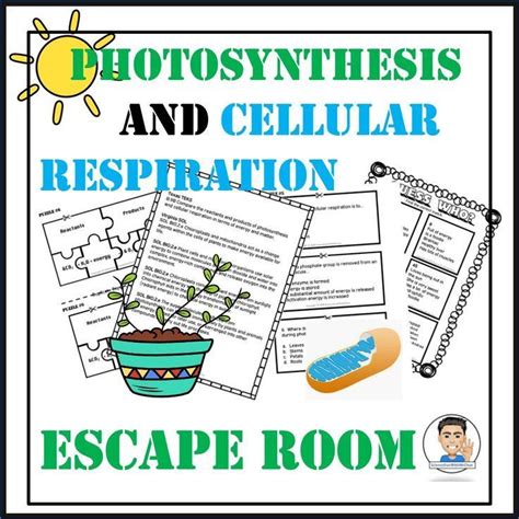 This breakout <strong>escape room</strong> is a fun way for students to test their knowledge with the <strong>respiratory</strong> system. . Cellular respiration escape room answer key